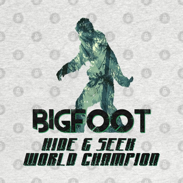 Bigfoot Hide & Seek by The Convergence Enigma